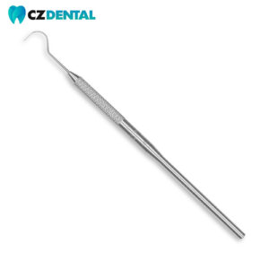 Explorador N° 23 Panorama